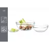 RITZENHOFF & BREKER Snap 4All glazen schalen set, 6 delen, 120 mm, 250 ml, transparant 111945