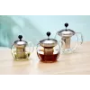 Ritzenhoff & Breker ENJOY glazen theepot, 1,1 L, met RVS theezeef 820799