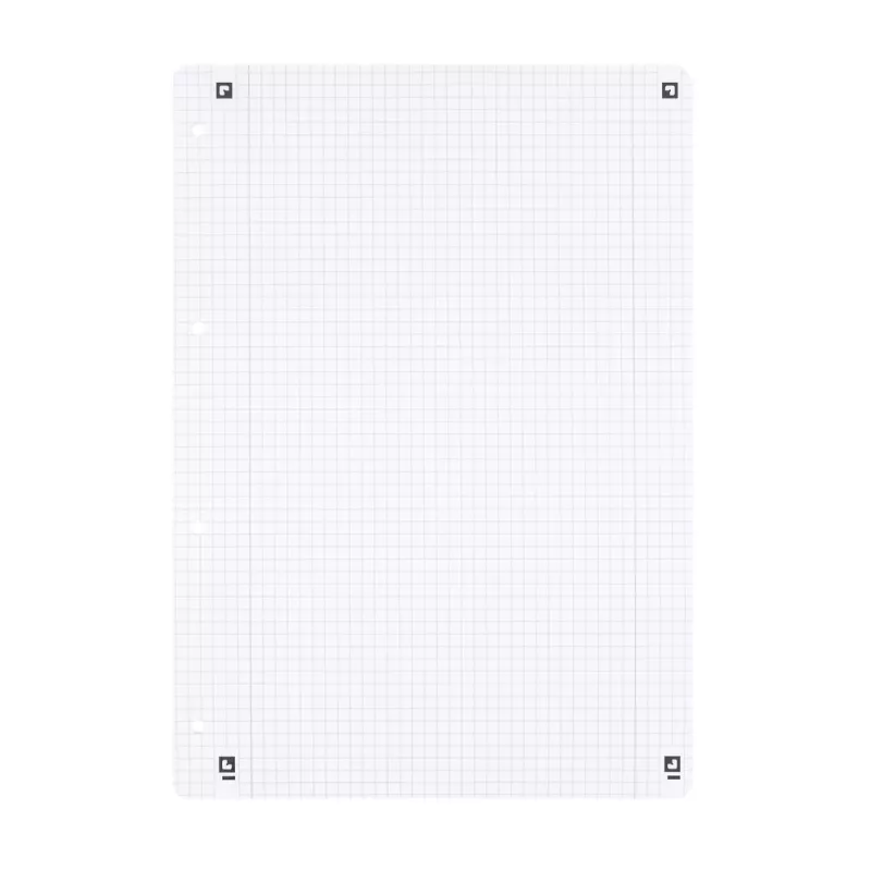 Oxford A4 geruit navulpapier, 50 vel, 4-voudig geperforeerd, liniatuur 28 400131584
