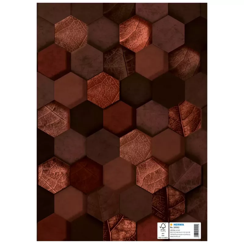 HERMA heftschoner X, karton, DIN A4, bruin, met beschriftingsveld, 10 stuks (20092)
