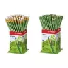 STABILO GREENgraph HB potloden, 60-display met gum, zeskantig, FSC-gecertificeerd 6004/60-1