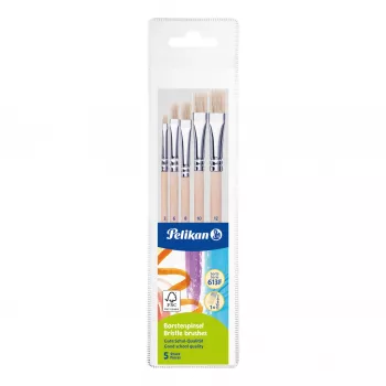 Pelikan starter-penseelset, 5 borstelpenselen met houten handvatten, verschillende maten, transparante opbergbox 300008263