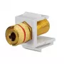Rutenbeck Keystone luidspreker-aansluitadapter KMK-LS, schroefklemmen, zwart/rood, gereedschapsloos 17000608