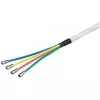 Wentronic Goobay 80 dB quattro coaxiale antennekabel met F-stekkers, 2x afgeschermd, CCS, 10 m 67330