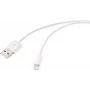 Renkforce USB 2.0 USB-A naar Apple Lightning kabel 1m wit mat RF-5724084