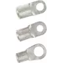 LAPP ringkabelschoen 10 mm², 6,5 mm gat, ongeïsoleerd, 100 stuks 63204245
