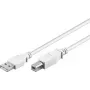 Wentronic 96186 USB 2.0 kabel, USB-A stekker naar USB-B stekker, 1,8 m, wit