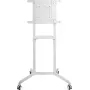 PureLink PureMounts mobiele tv-standaard, wit (PM-CART-80W)