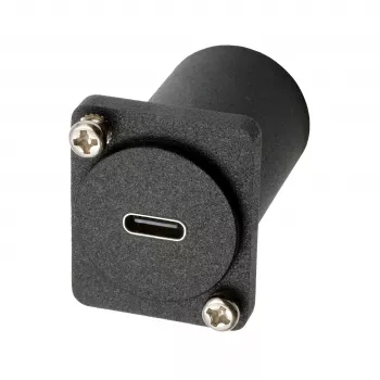 EXSYS EX-49172 D-type adapter USB-C bus naar DisplayPort bus