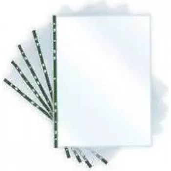 PAVO 8020614 A4 documenthoes kristalhelder met groene versterkte rand, bovenzijde open, universele perforatie, 0,06 mm PP, 1 stuk
