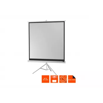 celexon Economy statiefprojectiescherm 133 x 133 cm White Edition