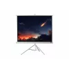 celexon Economy statiefprojectiescherm 133 x 133 cm White Edition