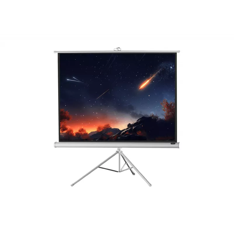 celexon Economy statiefprojectiescherm 133 x 133 cm White Edition