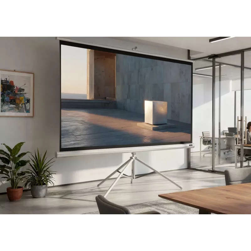 celexon Economy statiefprojectiescherm 133 x 133 cm White Edition