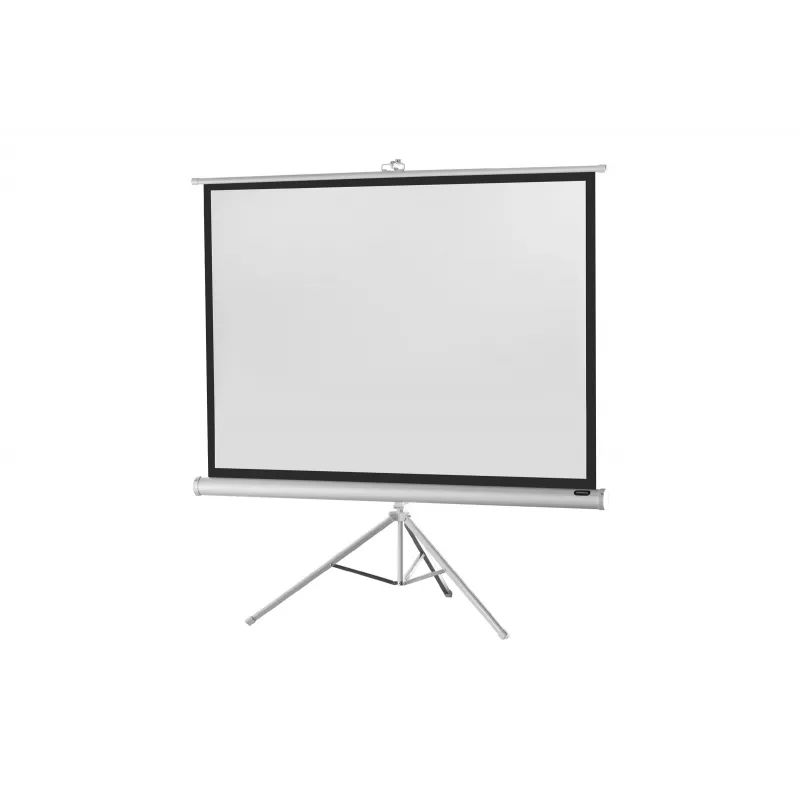 celexon Economy statiefprojectiescherm 133 x 133 cm White Edition