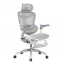 SIHOO DORO C300 Pro mesh ergonomische bureaustoel met voetsteun, wit