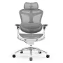 Sihoo DORO C300 Pro ergonomische mesh-bureaustoel wit