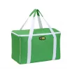 GIOSTYLE thermotas Evo Square assorti, groen/rood/blauw met decoratie, 15 L