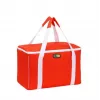 GIOSTYLE thermotas Evo Square assorti, groen/rood/blauw met decoratie, 15 L