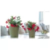 STEFANPLAST bloempot met schotel Ethica Ø40x39cm groen