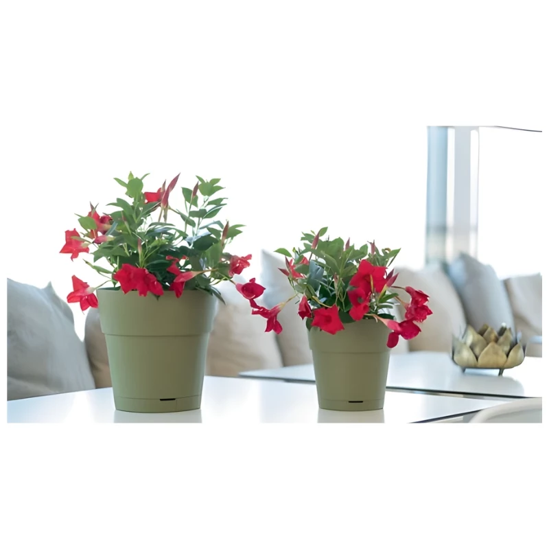 STEFANPLAST bloempot met schotel Ethica Ø40x39cm groen