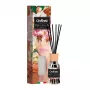ORDINETT Aroma-diffuser met stokjes 250 ml appel en kaneel