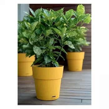 STEFANPLAST Ethica bloempot met schotel Ø40x39cm mosterdgeel