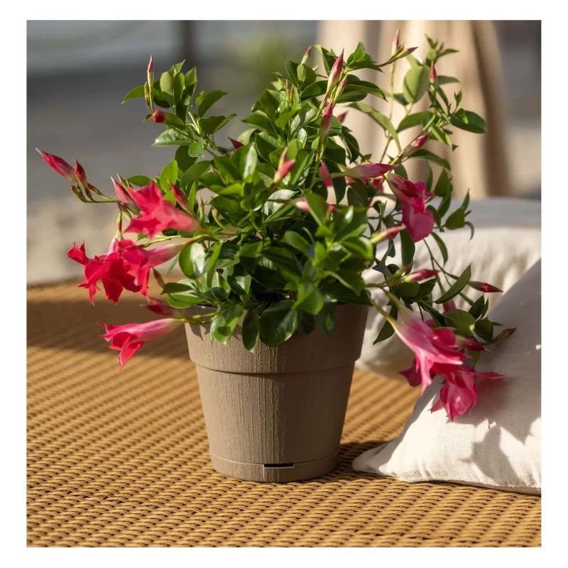 STEFANPLAST Ethica bloempot met schotel Ø20x19cm bruin