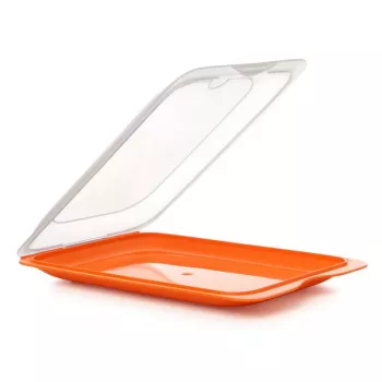 TATAY bewaardoos voor vleeswaren 17x25,2x3,2 cm assorti