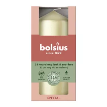 BOLSIUS kaars cilinder Ø120x58mm zilver