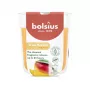 BOLSIUS True Scents mango geurkaars in glas Ø80x73mm