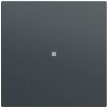 Gira System 70 wip met controlevenster, antraciet (329073)