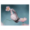 Bose QuietComfort koptelefoon roze