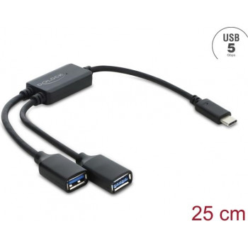 Delock 2-poorts USB 5 Gbps Type-A kabelhub met USB Type-C™-aansluiting 25 cm (64373)