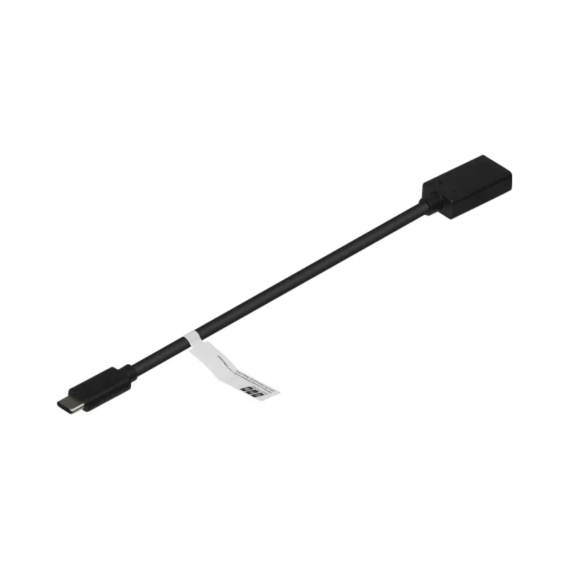 EFB-Elektronik USB-C naar DisplayPort 1.2 adapter, 4K 60 Hz, zwart