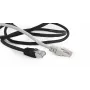 Gembird Cat6a S/FTP patchkabel RJ45, 5 m, zwart, LSZH