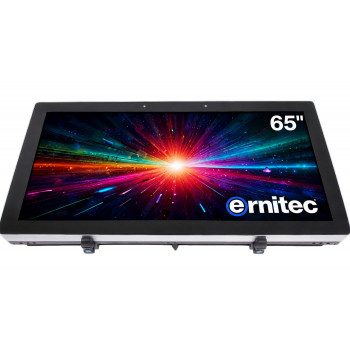 Ernitec 65 inch 24/7 4K UHD-monitor (0070-24165-HB3000-L)