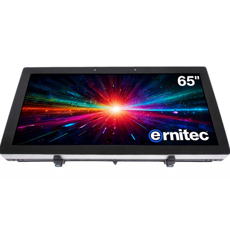 Ernitec 65 inch 24/7 4K UHD-monitor (0070-24165-HB3000-L)