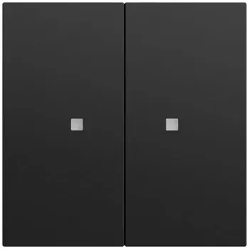 GIRA 517374 wiptaster 2-voudig OneKNX System 70 zwart (517374)