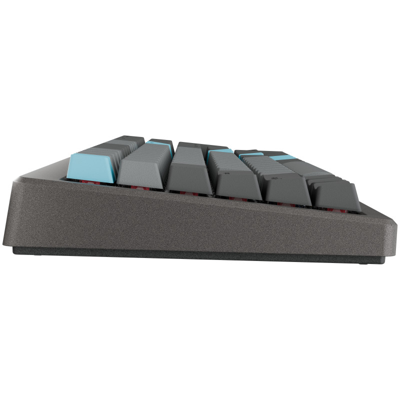 Ducky Cushion 98 gaming-toetsenbord, 96%, DE layout (ISO), Shush Red Switches - Nickel (DKCUS2598-DSDEPHCC3H1)
