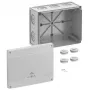 Spelsberg Abox Pro 250-L aftakdoos, IP66/IP67/IP69, 42540001