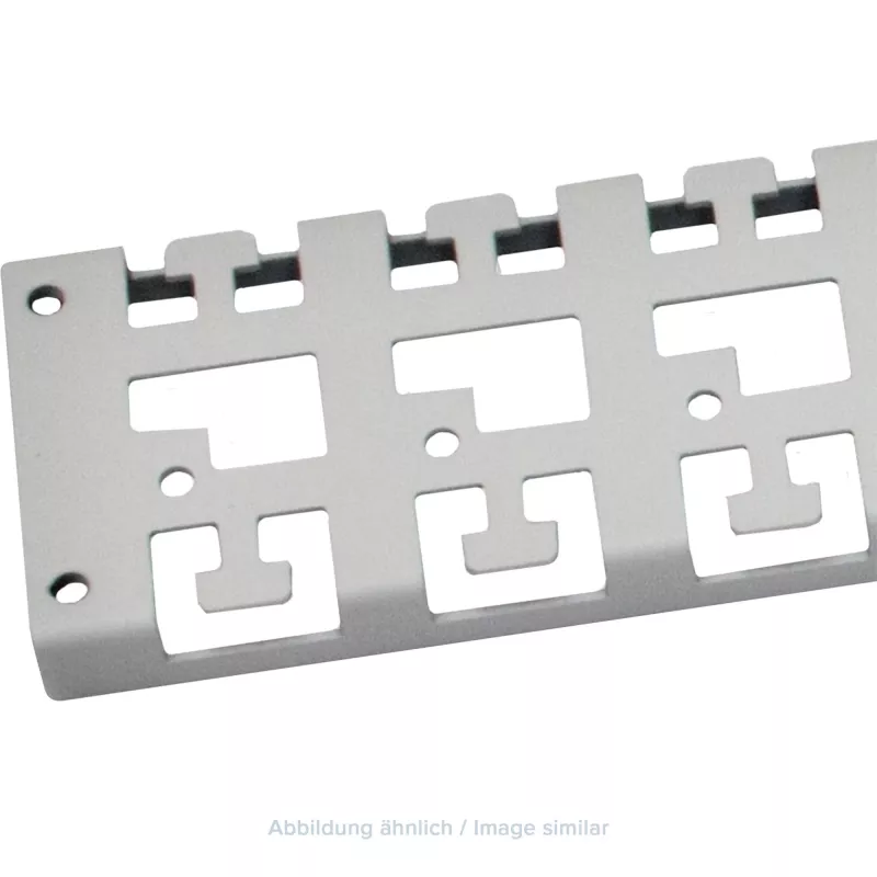 Triton 19 inch kabelmanagementbeugel voor frame, 1000 mm diepe kast, grijs