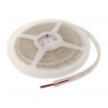 Synergy 21 LED Flex Strip 3528 60, rood, 24 V DC, 24 W, IP68