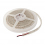 Synergy 21 LED Flex Strip 3528 60, rood, 24 V DC, 24 W, IP68