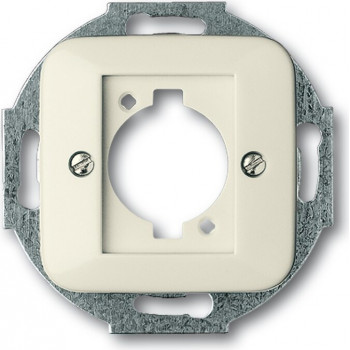 Busch-Jaeger 1724-0-0624 wandplaat / schakelaarafdekking, zilver-wit
