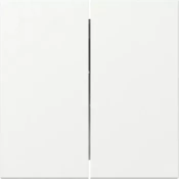 GIRA wip 349527, 2-voudig, recht, System 55, zuiverwit mat