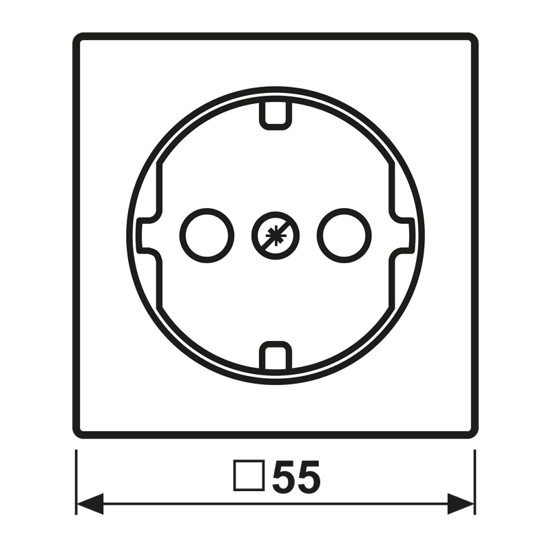 Jung A 1520 KIPL WW centraalplaat voor SCHUKO-stopcontact, alpinweiß