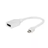Gembird Mini DisplayPort naar DisplayPort-adapter, wit
