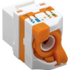 Techly 028573 Keystone-module RJ45 UTP Cat6, zelfklemend, voor PoE