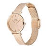 Daniel Wellington DW00100795 dameshorloge, 28 mm